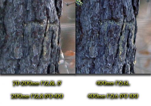 Canon 70-200mm F/2.8L + Sigma 8mm EX DG F/3.5 are here!-comparison.jpg