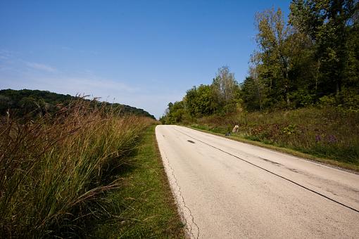 What's a good wide-angle?-10mm.jpg
