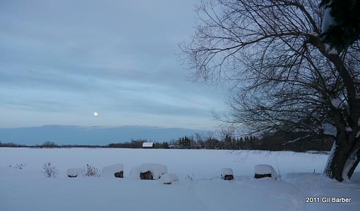 Winter Moon-p1050030.jpg