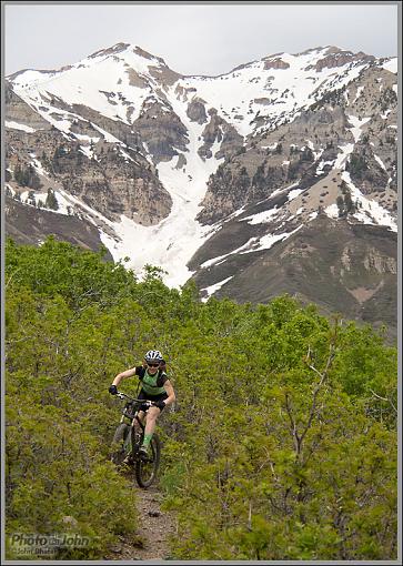 Some Micro Four Thirds Mountain Bike Action-_6120594.jpg