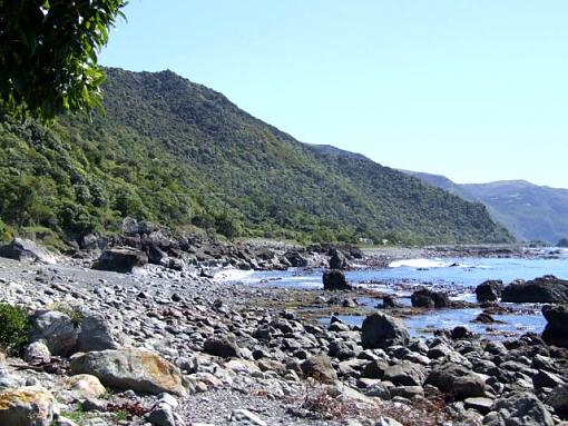 Hi there Everybody-kiakoura-coastline.jpg