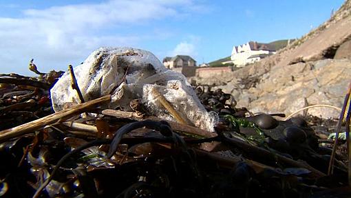 Devon container spill: 'Impossible task' to gather incontinence pads-_115168153_nappy1.jpg