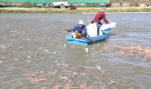 Agricultural support groups say importing fish will not bring prices down.-bd8a2013-jh454r2.jpg