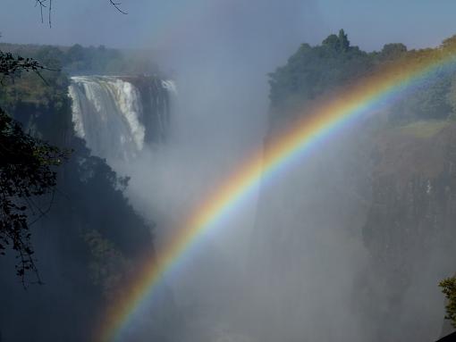 Experience South Africa, Take a Safari + Victoria Falls (Video and Stills)-207-medium-.jpg