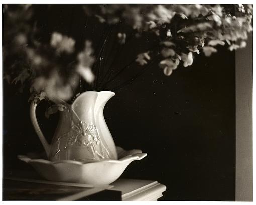 FINALLY got the darkroom up and running again..-pitcher1.jpg