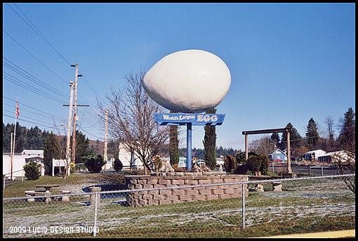 Ektar 100 in the Canonet-egg.jpg