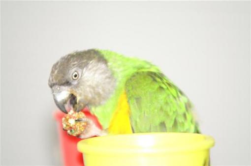 Help with new lens-pict9048.jpg