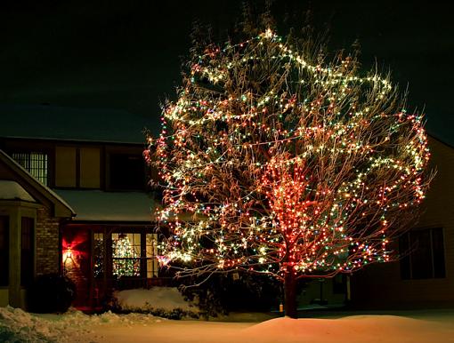 Christmas lights-xmas-lights.jpg