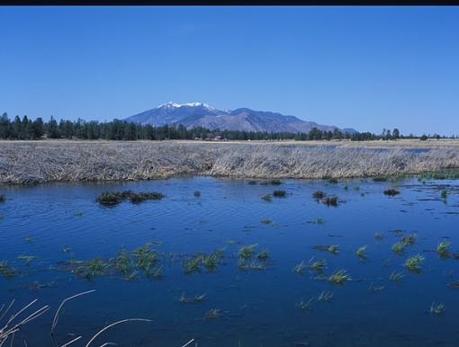 Understanding The Photograph-marshall-lake-01.jpg