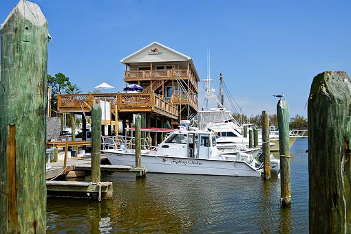 I need some help posting sharp pictures-dsc_2401_harbor_view-12.jpg