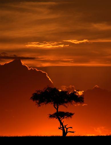 Show Me Your Sunsets...-african-sunset-vert..jpg