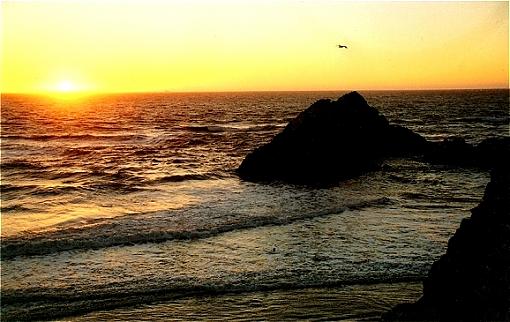 Show Me Your Sunsets...-oceanbeach.jpg