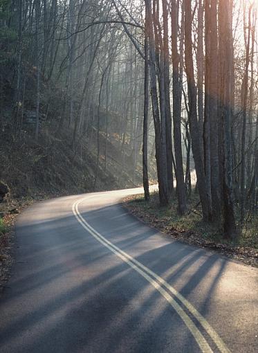 The National Parks post-morning-light-2-.jpg