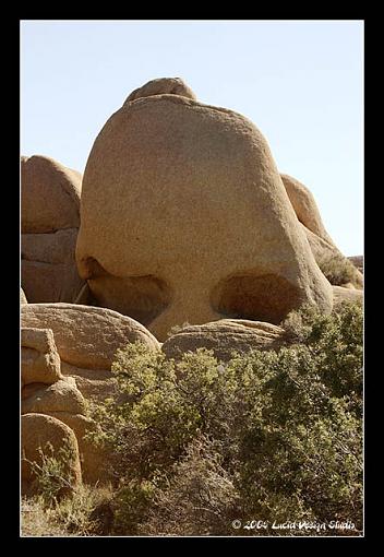 The National Parks post-theskull.jpg