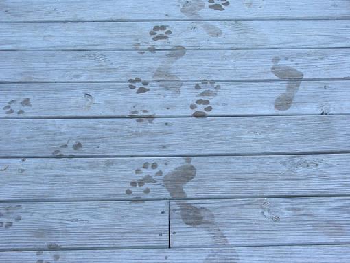 Something That Appealed To Me-footprints-01-pr.jpg