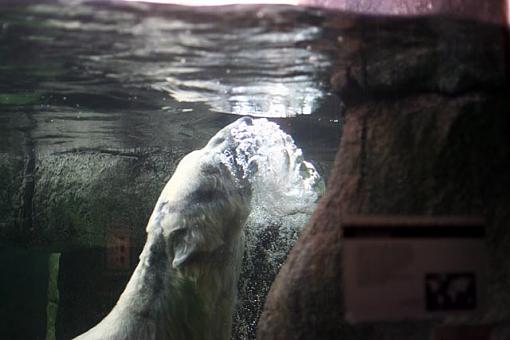 The zoo-js051102.jpg