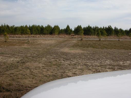 Unusual Bluebird Behavior-bluebird-habitat-003-pr.jpg