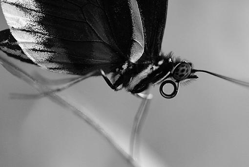 Something a little different-_mg_8529-b.jpg