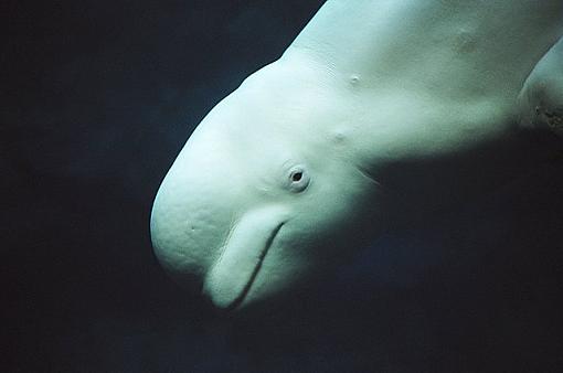 Usually don't come here...-02310005.jpg