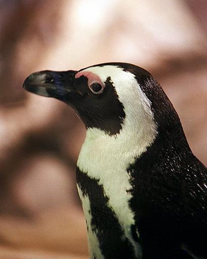 Usually don't come here...-02310009.jpg