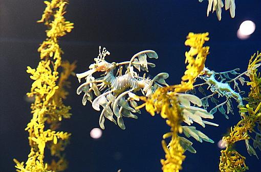 Usually don't come here...-02310013.jpg