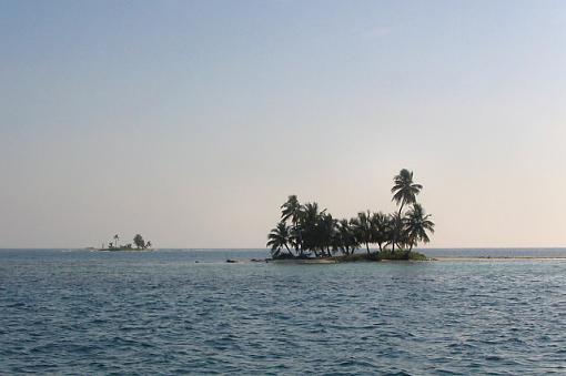 A pelican and two osprey.-img_5845_belize_small.jpg