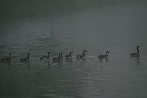 Some more nature....sky &amp; water-0712304-011.jpg