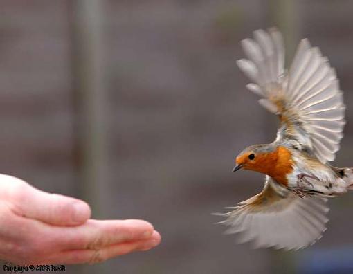 Hands off my camera!-chip-hand.jpg