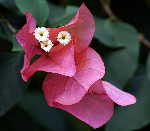 Click image for larger version.&nbsp;

Name:	PICT4769.JPG&nbsp;
Views:	69&nbsp;
Size:	63.9 KB&nbsp;
ID:	35906