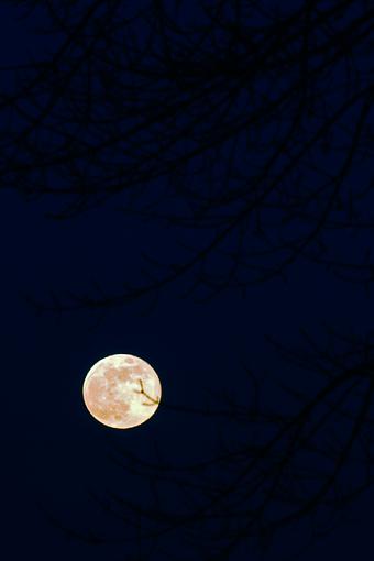 The Moon - revisited-full-moon.jpg