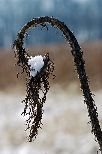 WinterScapes-02-07-07-shepards-hook.jpg