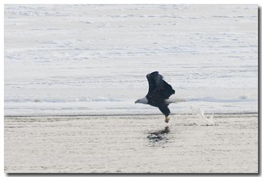 Fishing in the winter-crw_1150.jpg