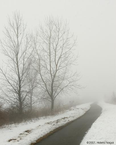 Winter Fog, Dew, and Snowmelt-02-21-07-winter-fog-1.jpg