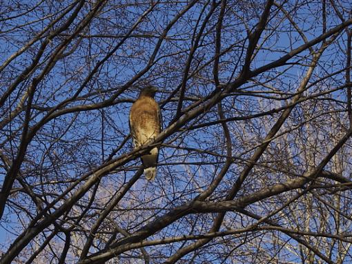 It's the Little Things . . .-dsc_0934.jpg