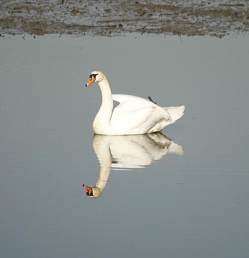 Reflecting moments.-forum-6.jpg