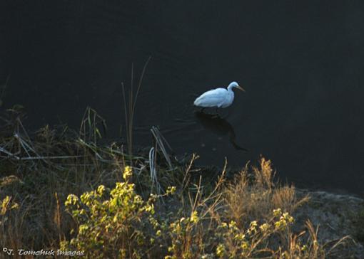 From above - revisited-above-01.jpg