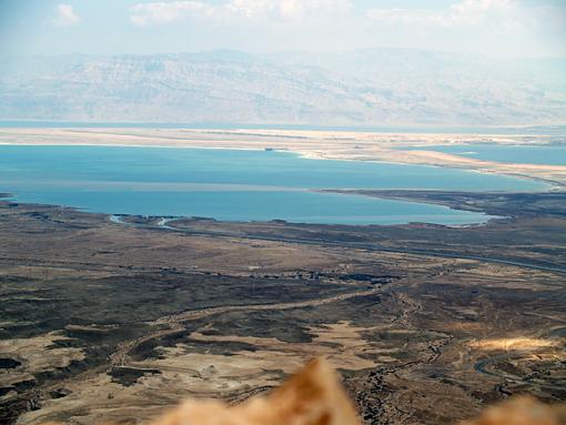 Israeli bird on top of Mount Masada-p3183515.jpg