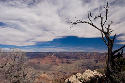 Assorted nature-vv9w3876.jpg