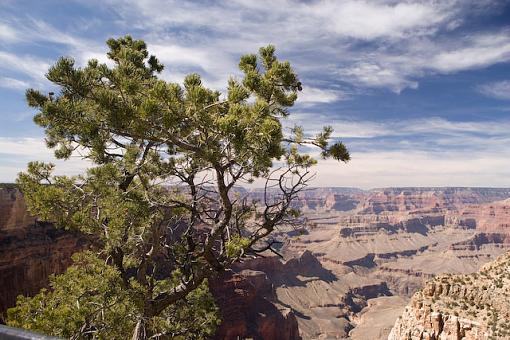 Assorted nature-vv9w3942.jpg