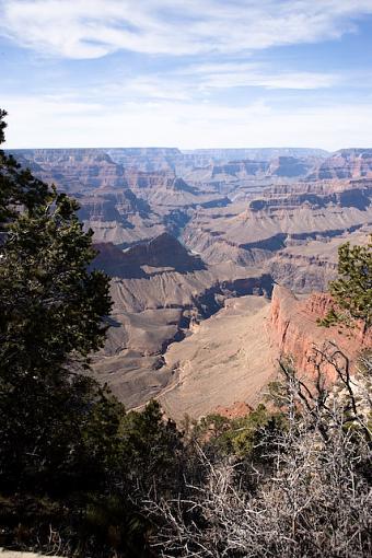 Assorted nature-vv9w3941.jpg