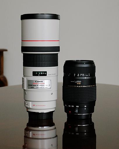 70-300mm Field Test-70-300mm-zoom.jpg