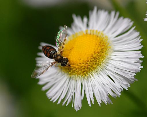 Landing Zone-dsc_2046-2-8x10-640.jpg