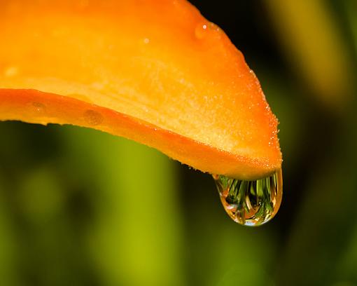 Tube Time??-water-drop-2-8x10-640.jpg