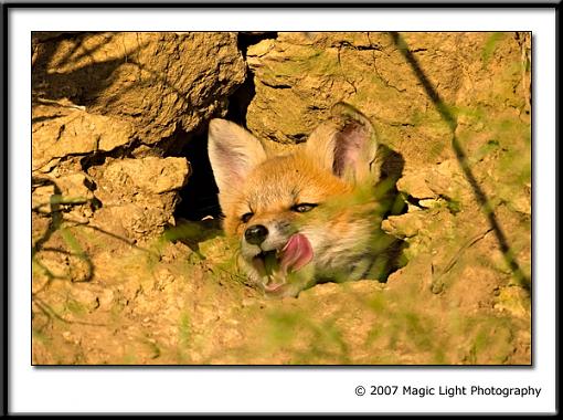 Head in a hole-crw_4995.jpg