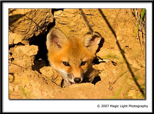 Head in a hole-crw_5011.jpg