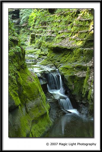 The Green Gorge - Pewitt's Nest-crw_5358.jpg