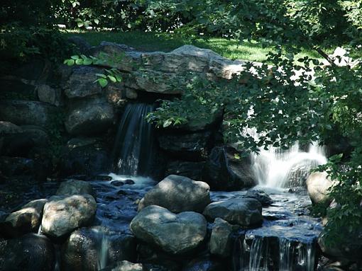 feathers,water,pricklys-park-stream..jpg