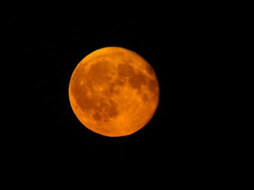 Blood Harvest Moon.-harvest-moon..jpg