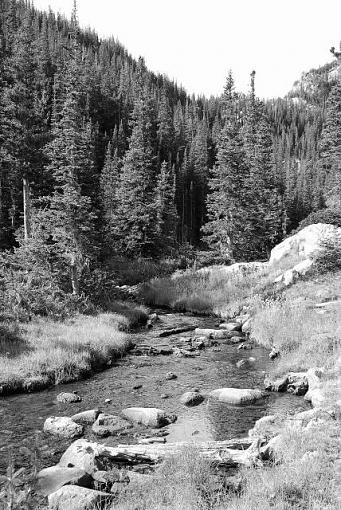 Colorado shots - comments?-dsc_080109020001.jpg