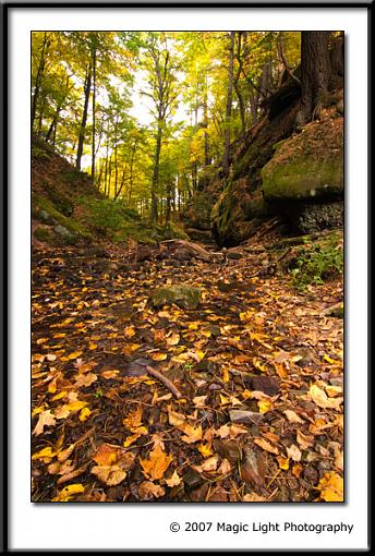 My first fall pics of the season-crw_1262.jpg